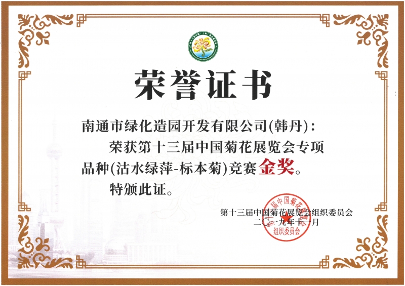 十三屆中國菊花展覽會專項品種（沽水綠萍-標本菊）競賽金獎（韓丹）