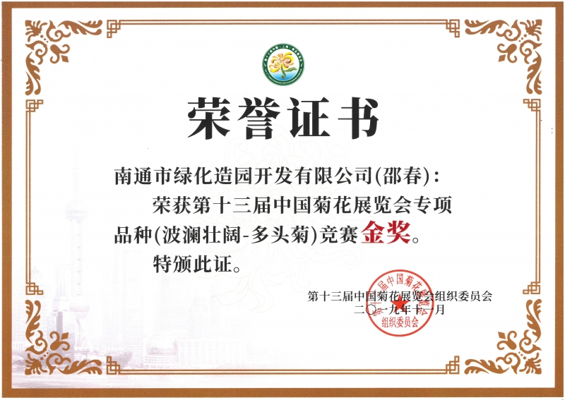 十三屆中國菊花展覽會專項品種（波瀾壯闊-多頭菊）競賽金獎（邵春）